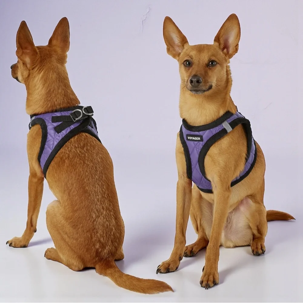 Voyager Step-In Plush Dog Harness Purple Small NWOT Reflective Vest NWOT